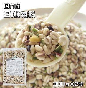 21G 300g×2 Y v~A i[ցjY G G͂ ۑH H 󂠂 h{ N   