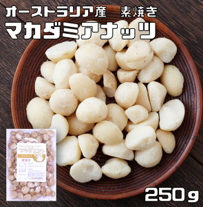 }J_~Aibc fĂ 250g EHT I[XgAY }Jf~Aibc   [Xg H Ɩp ٍޗ pޗ