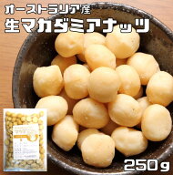 マカダミアナッツ 生 250g 世界美食探究 オーストラリア産 （メール便）大粒 マカデミアナッツ 無塩 無油…