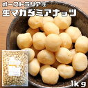 マカダミアナッツ 生 1kg 最強配送 世界美食探究 オーストラリア産 大粒 マカデミアナッツ 無塩 無油 お徳用 国内加工 業務用 製菓材料 製パン材料