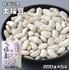 大福豆 1kg 豆力 北海道産 白インゲン 国産 十六豆 おおふくまめ インゲン豆 乾燥豆 国内産 豆類 和風食材 生豆