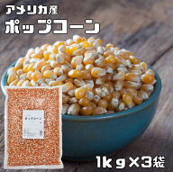 ポップコーン 1kg×3袋 まめやの底力 お徳用 手作り Pop Cor...