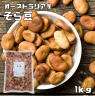 そら豆 1Kg 最強配送 まめやの底力 オーストラリア産 空豆 大特価 蚕豆 そら豆 ソラマメ しょうゆ豆 いか…