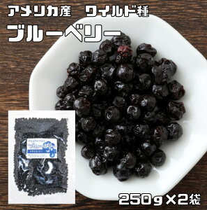 ブルーベリー 250g×2袋 ドライフルーツ アメリカ産 世界美食探究 ワイルド種 (メール便)乾燥 製菓材料 製パン材料 おつまみ 国内加工