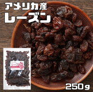 レーズン 250g アメリカ産 世界美食探究 ドライフルーツ 種なし カリフォルニア産 乾燥ぶどう 製菓 製パ…