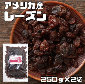 [Y 250g×2 AJY EHT i[ցjhCt[c Ȃ JtHjAY Ԃǂ  p ޗ H