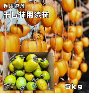󂠂 `pa` 5Kg H׃`N ɌY I `  p  ؂ ݂邵`p `p a` ƒp 󂠂 ʕ ` ` SDGs ^j Y