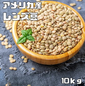レンズ豆 皮つき 10kg 豆力 れんずまめ レンティルピース 皮付き 国内加工 乾燥豆 豆類 乾燥豆 サラダ豆 スープ 輸入豆