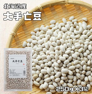 S 250g×3  kC\Y i[ցjCQ Y Ăڂ CQ  Y  aH  