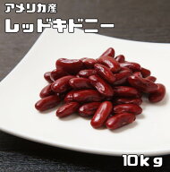 レッドキドニー 10kg 豆力 キドニービーン インゲン豆 金時豆 国内加工 乾燥豆 豆類 乾燥豆 サラダ豆 ス…