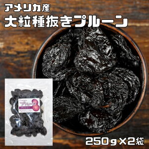 v[ 250g×2 EHT AJY i[ցjhCt[c 嗱 픲  p ޗ  sgp