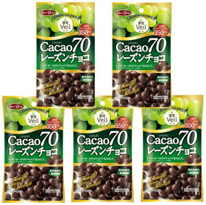 レーズン チョコの人気商品 通販 価格比較 価格 Com