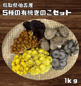 L@͔|̂Zbg 1Kg 挧ˎY H׃`N ˂̂̂ ő ؎  Ȃ߂ ^M^P L@JAS _ lߍ킹 Y