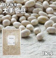 大手亡豆 1kg 最強配送 まめやの底力 カナダ産 白インゲン おおてぼう インゲン豆 乾燥豆 豆類 和風食材 …