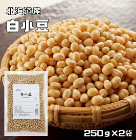 白小豆 250g×2袋 豆力 北海道産 （メール便）白あずき 希少豆 しろ小豆 国産 国内産 乾燥豆 豆類 和風食材 生豆 限定品 小豆