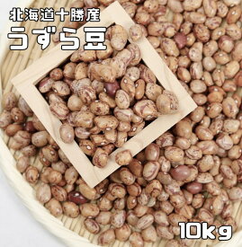 うずら豆 10kg 豆力 北海道十勝産 北海道産 アサヒ食品工業 うずら 金時豆 国産 国内産 徳用 乾燥豆 手料理 手作り 煮豆用