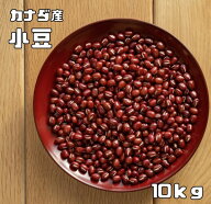 小豆 10kg 豆力 カナダ産 業務用 あずきし ょうず 徳用 乾燥小豆 あずき あづき 豆 乾燥豆 手料理 輸入小…