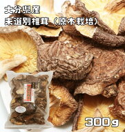 干し椎茸 未選別 300g 原木栽培 大分県産 訳あり 徳用 大容量 乾物屋の底力 香信 乾椎茸 乾燥しいたけ 乾…