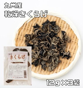 炰 12g×3 Y BY ̒ i[ցj؎ ؎ 炰 炰 p Ɩp Y Y