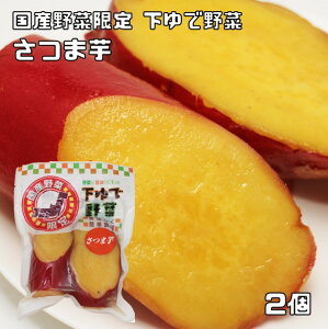 ܈ 2 ؂̎|݂cŖ ܂ F Y Y H ŃxW 䥂ŃxW^u  f