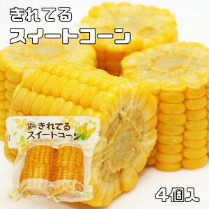 XC[gR[ 4 Jbg t ^pbN Ƃ낱 䥂  o[xL[ Ė ֗ ȕ֖ gg R[