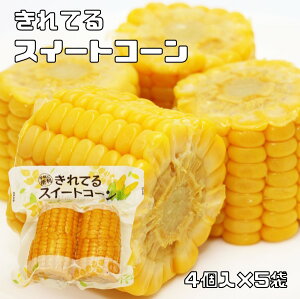 XC[gR[ 4×5 Jbg t ^pbN Ƃ낱 䥂  o[xL[ Ė ֗ ȕ֖ gg R[