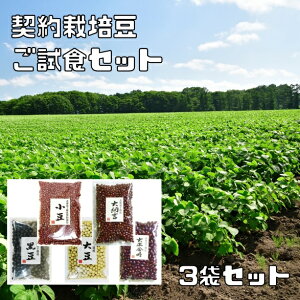 契約栽培豆 小豆 ご試食セット 北海道産 3袋選べる 250g×3袋 (メール便) 大納言 大正金時 大豆 黒豆 お試し 国産 国内産