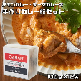 手作りカレー粉セット 100g×12袋 ギャバン スパイス 20種類のスパイス ハウス食品 香辛料 粉 業務用 カレールー GABAN ミックススパイス