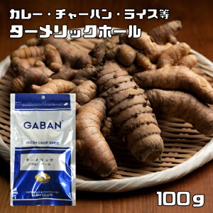 ^[bNz[ 100g GABAN XpCX i[ցjh V[h  Ɩp Turmeric  Mo i n[u