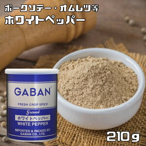 zCgybp[  210g GABAN XpCX h pE_[ Ɩp Ӟ Mo   n[u 