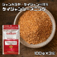 ケイジャンシーズニング 100g×3袋 GABAN ミックススパイス 香辛料 パウダー 業務用 ギャバン 粉 粉末 ハ…