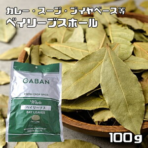xC[uX z[ 100g GABAN XpCX i[ցjn[u h Ɩp j̗t Mo  