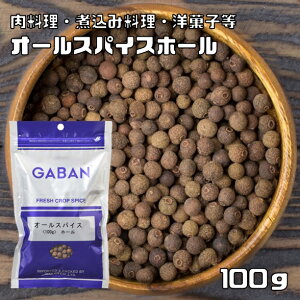I[XpCX z[ 100g GABAN XpCX i[ցj h Ɩp SӞ Mo  