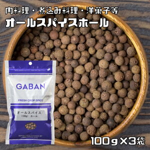 I[XpCX z[ 100g×3 GABAN XpCX  h Ɩp SӞ Mo  