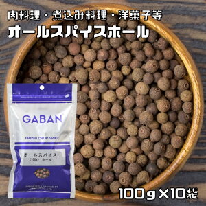 I[XpCX z[ 100g×10 GABAN XpCX  h Ɩp SӞ Mo  