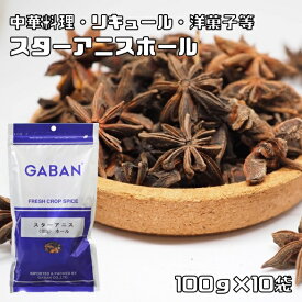 スターアニス ホール 100g×10袋 GABAN スパイス 粒 香辛料 業務用 八角 ギャバン 調味料 乾燥 高品質