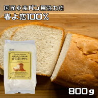 強力粉 春よ恋100％ 800g パイオニア企画 国産小麦 パン用 製菓材料 洋粉 こだわり食材 小麦粉 製パン 国…