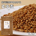 玄小麦（ゆめちから） 1kg 豆力 北海道産 小麦 強力小麦 麦ご飯 小麦玄麦 雑穀 国産 全粒粉 無添加 強力粉 胚乳 小麦胚芽 小麦ふすま
