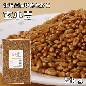 i߂j 5kg  kCY  ͏   G Y S Y ͕   ӂ