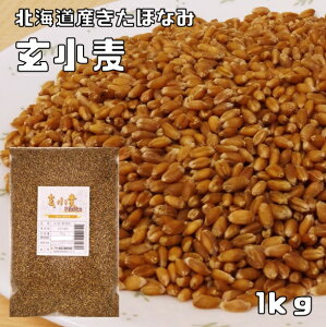 iقȂ݁j 1kg  kCY  ͏   G Y S Y ͕   ӂ
