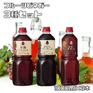 フルーツビネガー 3種セット 1L×3本 内堀醸造 有機りんごの酢 ぶどうとブルーベリーの酢 黒酢と果実の酢