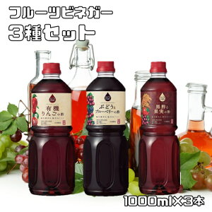 フルーツビネガー 3種セット 1L×3本 内堀醸造 有機りんごの酢 ぶどうとブルーベリーの酢 黒酢と果実の酢