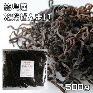 ܂ 500g Y V ̒ Y Y S   [}C Ɩp