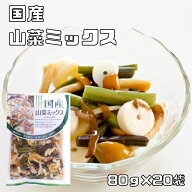 山菜ミックス水煮 80g×20袋 国産 国内産 国内加工 マルナカ...