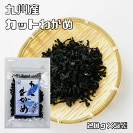 カットわかめ 20g×5袋 九州産 乾燥わかめ 乾物 九州ひじき屋 ヤマチュウ 山忠 国産 国内産 干しワカメ …