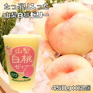 R[[ 450g×12 t[ca  kCY v`Mtg XC[c Y Y rbN W{ fJ[[ 