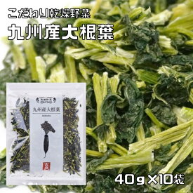 大根葉 干し野菜 40g×10袋 九州産 吉良食品 だいこん葉 ドライ大根葉 国産 国内産 乾物 便利野菜 備蓄 非常食