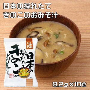 {̍̂ꂽĂ݂̂̂` 9.2g×10H Ȃ݂` RXXHi t[YhC X` Y wY