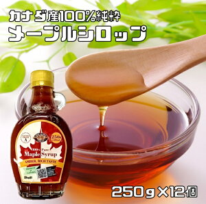 [vVbv 250g×12 EHT Ji_Y 189ml P[LVbv pP[L ٍޗ hHi 100