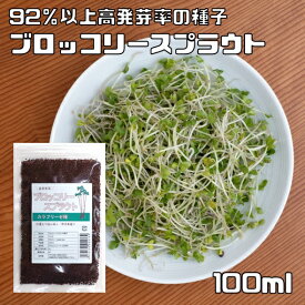 ブロッコリースプラウト 種子 100ml 豆力 カラブリーゼ種 高含有種子 高発芽率 超硫黄分子 スーパーフード 自宅で簡単 無消毒種子